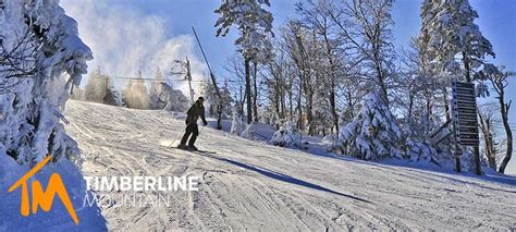 timberline ski resort webcams